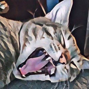 Meet your Posher, Stacie